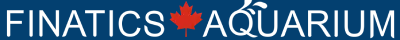 FINATICS logo